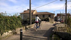ponte-nova-sabaris
